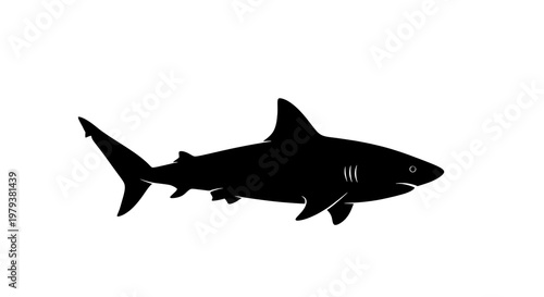 Black silhouette of a shark swimming.