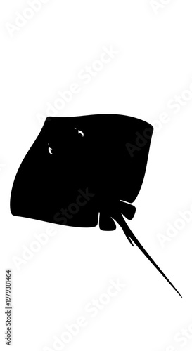 Black stingray fish swimming alone underwater.