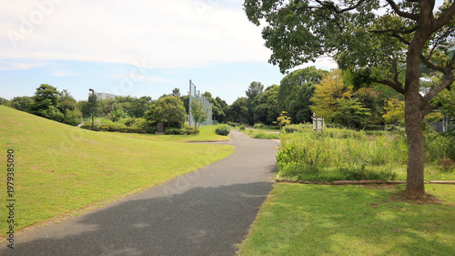 Public Park with Lush Green Lawns and Paved Walking Path in Tatsumi, Koto-ku - Serene Urban Green Space in Tokyo Japan During Summer Afternoon with Trees and Clear Sky