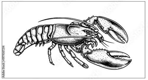 Hand Drawn Lobster Ink Sketch Vector Illustration – Retro Style