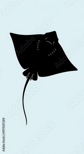 Black kite flying in clear sky.