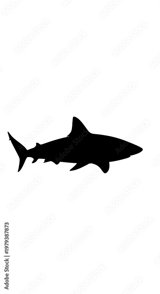 Fototapeta premium Black silhouette of a shark swimming.