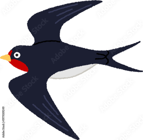 燕（ツバメ）のイラスト