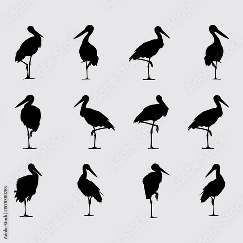 Stork Bird Silhouettes Set