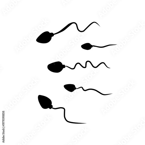 Sperm Icon Vector