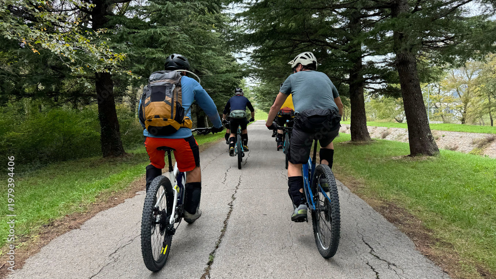 Fototapeta premium Group mountain bikers riding on a tree-lined paved park path with backpacks and helmets