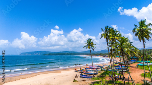 Canvastavla Agonda beach with coconut trees