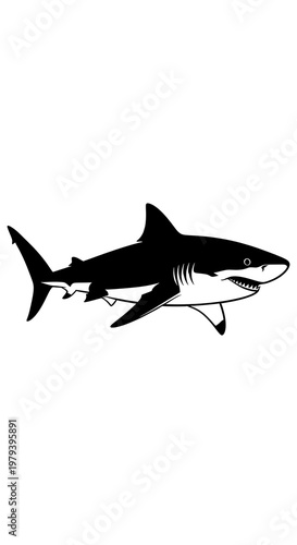 Black silhouette of a shark swimming.