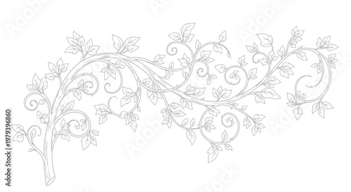 Elegant Hand-Drawn Floral Vine Scroll with Leaves, Decorative Botanical Branch Sketch for Wedding Invitations and Graphic Design Elements