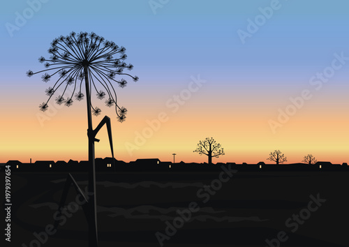 A dry, huge hogweed umbel on a tall stem against a sunset backdrop. Hand-drawn vector illustration of a beautiful sunset landscape.
