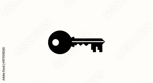 A single metal key object.