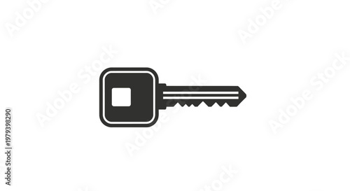 A single metal house key.