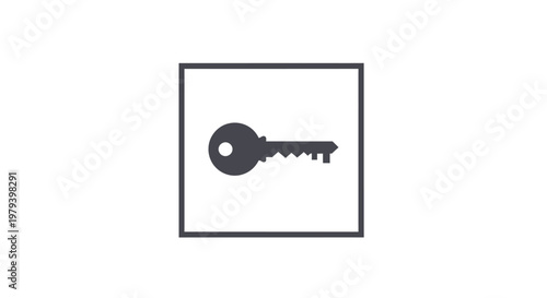 A single old metal key.