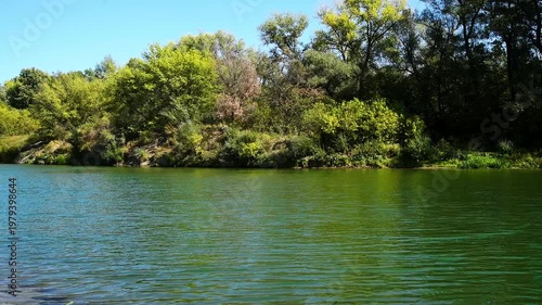 River flowing through a lush green forest on a sunny summer day
