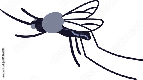 Mosquito side view. Gnat, bloodsucking insect with proboscis, wings. Malaria and dengue fever carrier. Bloodsucker pest, flying bug. Flat vector illustration isolated on white background