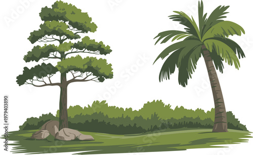 Tropical and pine tree landscape collection, palm and evergreen forest plants with rocks for nature outdoor design vector illustration