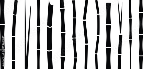 Collection of black bamboo stalks of varying thickness and segmentations against a clean white background