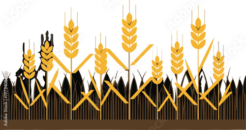 Wheat Ears in Brown Soil Ground.