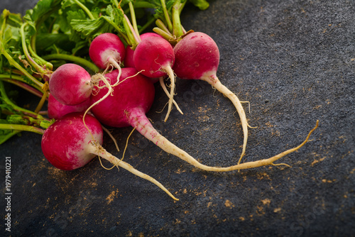 Red radishes freshly picked from the garden