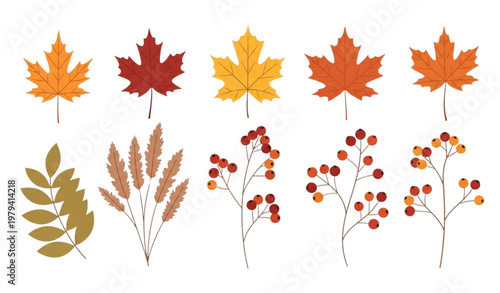 Flat autumn leaf and berry vector set minimal fall seasonal collection
