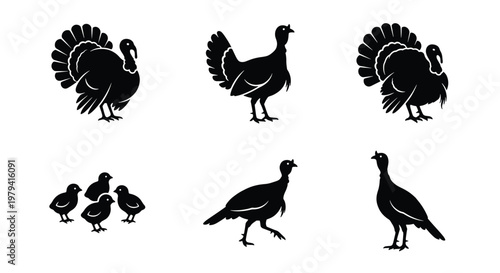Turkey bird silhouette set, farm animal icons, poultry vector graphics