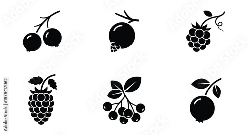 Minimalist berry icon set, black silhouette fruit symbols, collection of 6 vector berry illustrations, organic food graphics for packaging