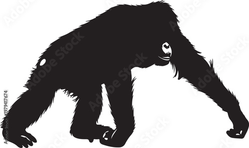 Woodcut brown bear illustration wild animal standing on all fours with detailed fur texture and shading