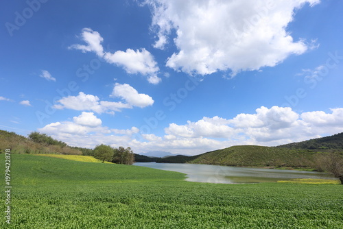 Tableau sur toile Scenic Landscape of Green Wheat Field by a Lake Under Blue Sky with White Clouds