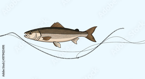 A single fish swimming in clear water with lines representing movement.