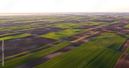Aerial view of green agricultural field landscape
