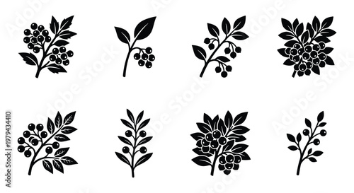 Black silhouette berry branches set, botanical leaf and fruit vector icons, 8 organic floral elements for logo design and packaging
