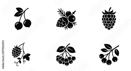Minimalist forest berry icons set, black silhouette wild berries vector collection, organic fruit symbols for food packaging and botanical branding