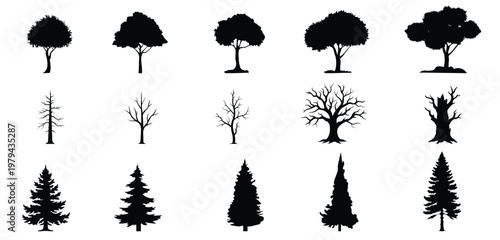 Collection of tree silhouettes showing seasonal changes and diverse natural forms vector illustration