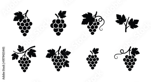 Black grape icons set, minimalist vineyard fruit silhouettes with leaves, collection of 8 vector grape bunches for wine labels and organic food branding