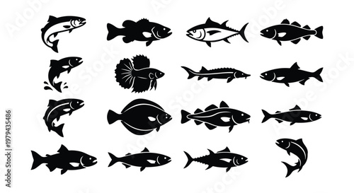 Black fish silhouette icons set, 16 vector fish species collection, aquatic animal symbols for fishing and seafood logos, minimalist marine life graphics