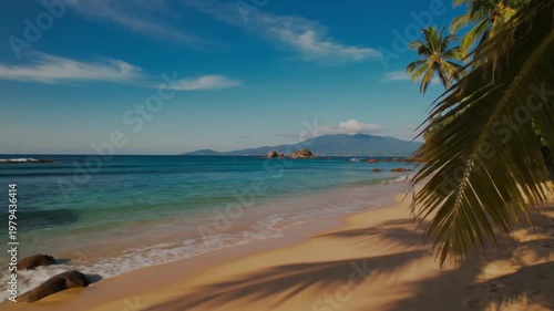tropical beach with palm trees