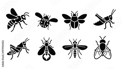 A collection of various black silhouette insect icons including bees beetles grasshoppers and flies high quality professional detailed modern elegant stylish