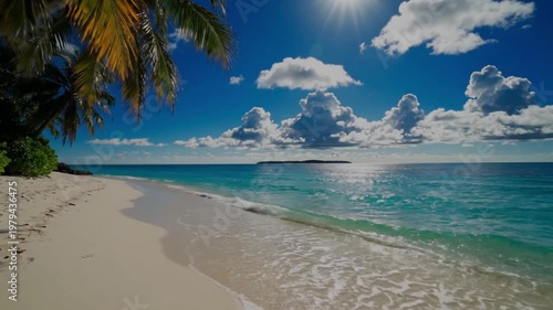 tropical beach with palm trees