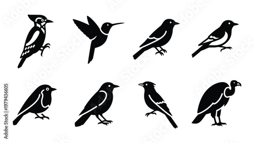 A collection of eight black silhouette illustrations depicting various perching birds in different poses and species high quality professional detailed modern