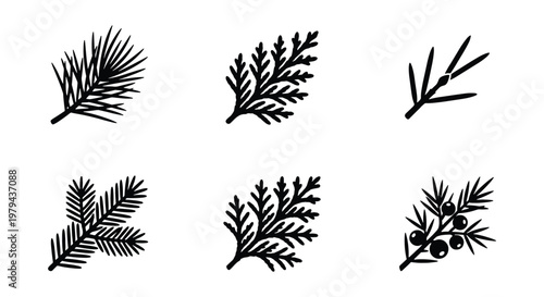 Vintage evergreen branch icons, set of 6 conifer leaf silhouettes, black pine and spruce twig vector illustrations for winter holiday design