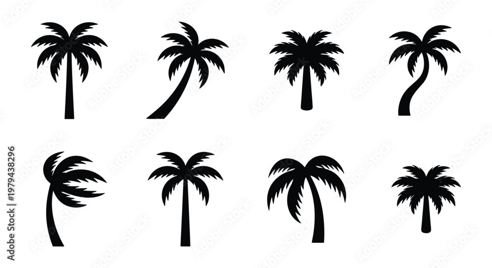 Fototapeta premium Black palm tree silhouette icons set, tropical coconut tree vector collection, 8 summer beach plant elements for travel and vacation design
