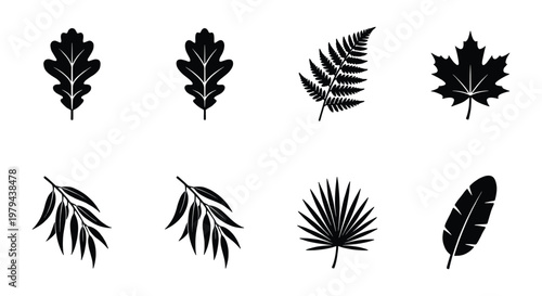 Black leaf silhouette icons set, collection of 8 botanical vector elements, minimalist foliage shapes including oak maple fern and palm