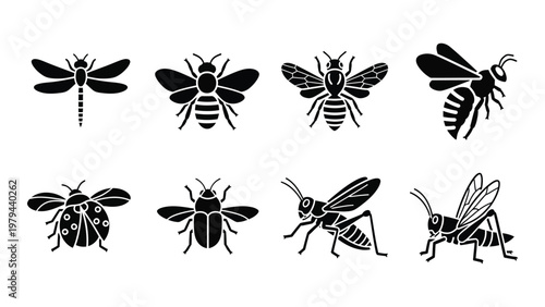 A collection of black silhouette insect icons featuring dragonflies bees ladybugs beetles grasshoppers and flies high quality professional detailed modern elegant