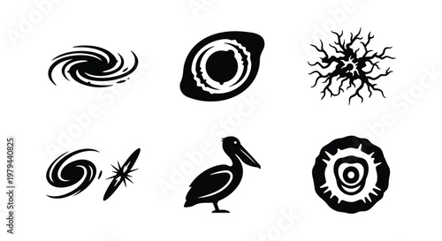 Minimalist black and white vector icons, set of 6 abstract galaxy spirals and pelican bird silhouette, cosmic space and nature symbols