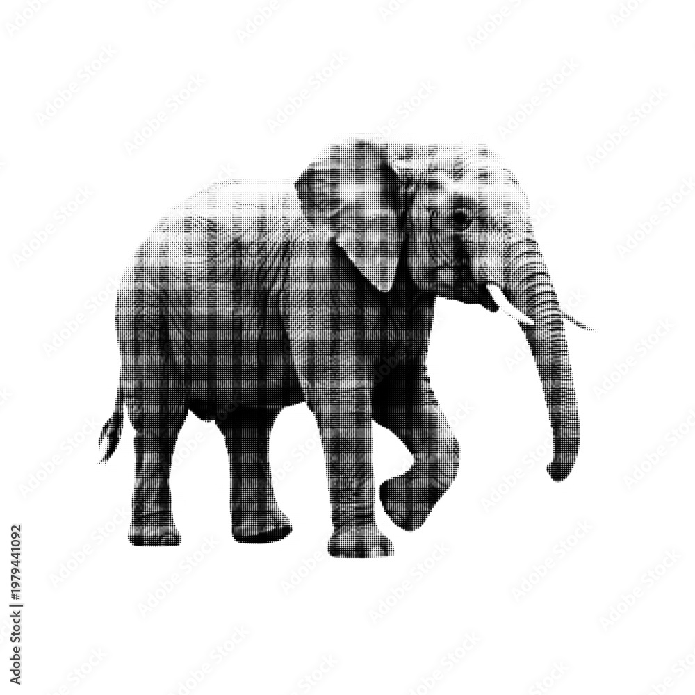 Fototapeta premium Elephant in halftone style isolated on light background