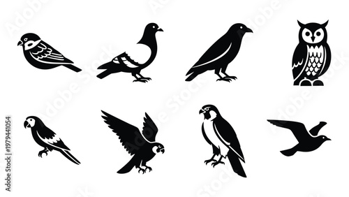 A collection of eight distinct bird silhouettes showcases a variety of species from small songbirds to birds of prey high quality
