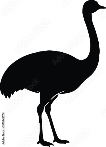 Ostrich bird silhouette vector icon 02