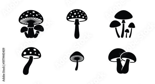 Minimalist mushroom icon set, black fungus silhouettes, 6 forest vector elements