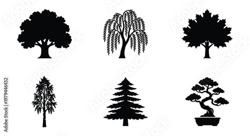 Black tree silhouettes, 6 nature icons, botanical vector set for landscape design