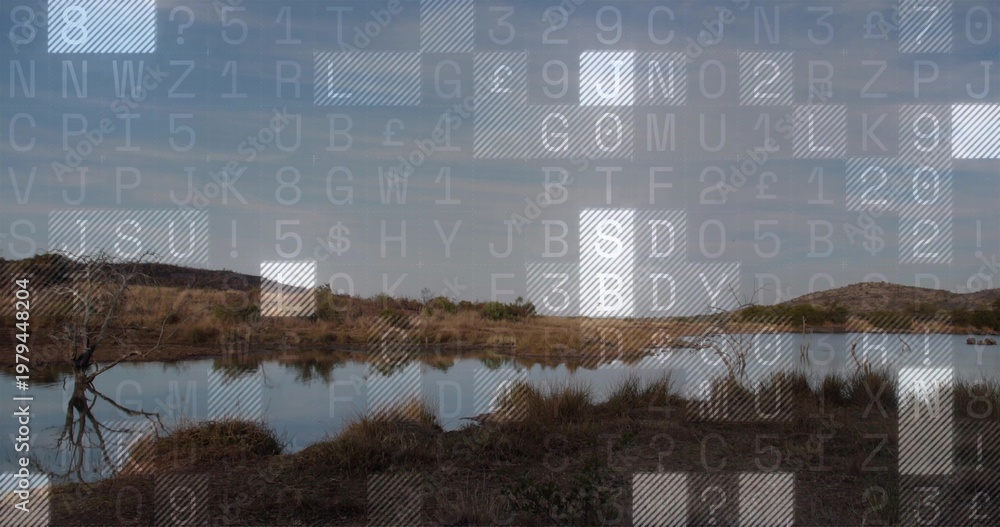 Fototapeta premium Capturing central marsh pond reflecting sky at rural wetland, with bare tree and data overlay